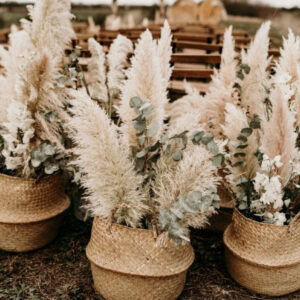 Vases en Osier